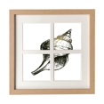 thumbnail image 1 of La vida marina Black caracol ilustración Pantalla de escritorio de pared de marco 4 aperturas, 1 of 4