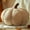 Camel, variant on SUSIELADY 2-Pack Pumpkin Throw Pillows Set, Soft Teddy Fleece Fall Decorative Cushions for Halloween & Thanksgiving Decor, Autumn Farmhouse Home Decoration, (Small & Medium Sizes, Yellow)