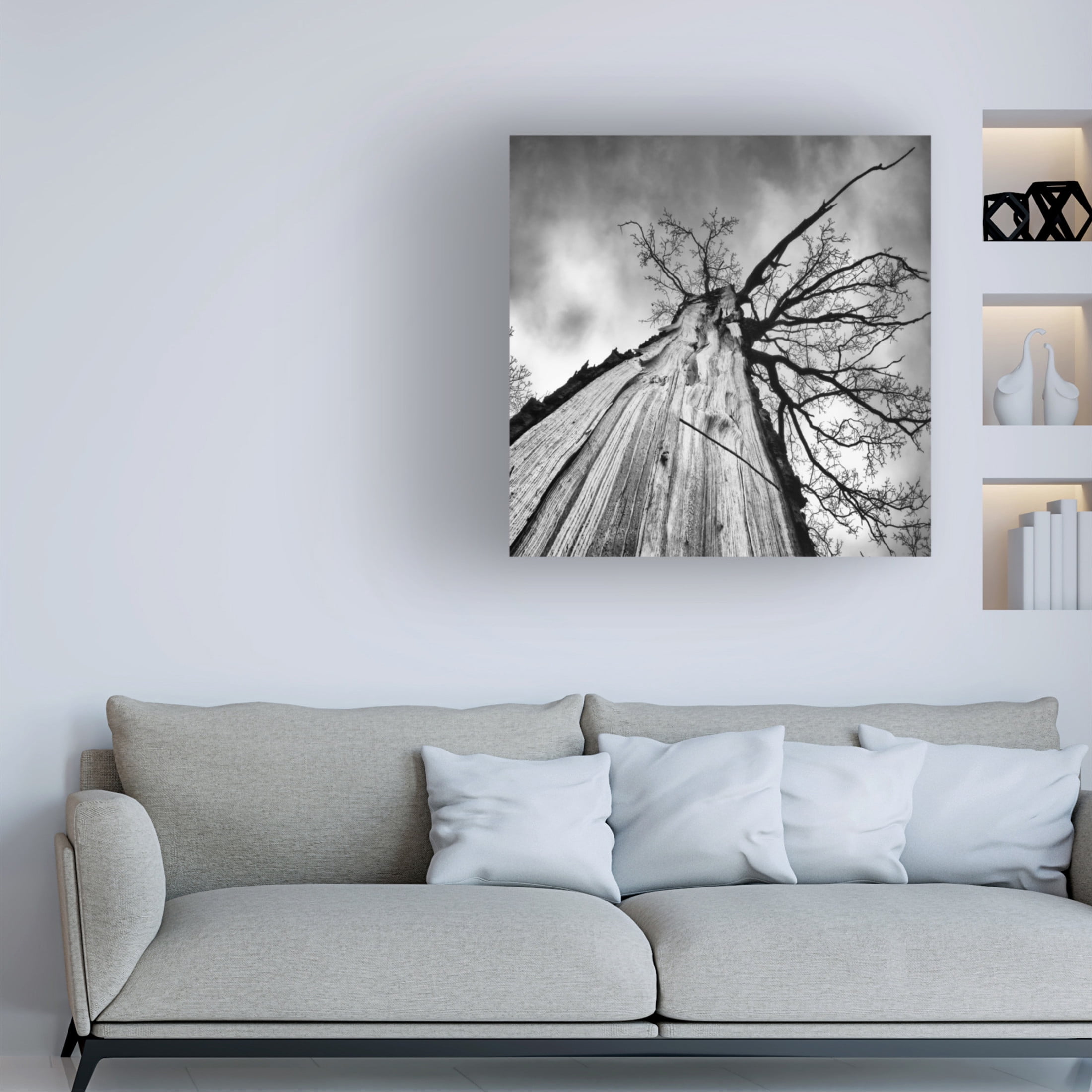 Trademark Fine Art Tomas Frolec Heart Of A Tree Canvas Wall Art