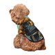 thumbnail image 5 of Balery Skeleton Chef BBQ Scene Sudadera con Capucha para Perros Pequeños – Ropa para Mascotas, Disfraz para Perros y Gatos, Ideal para Fiestas y Cosplay-Small, 5 of 7