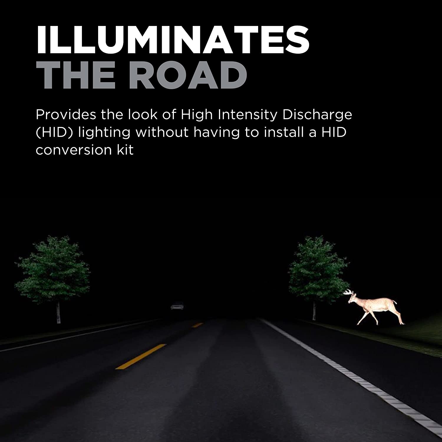 Headlight Bulb