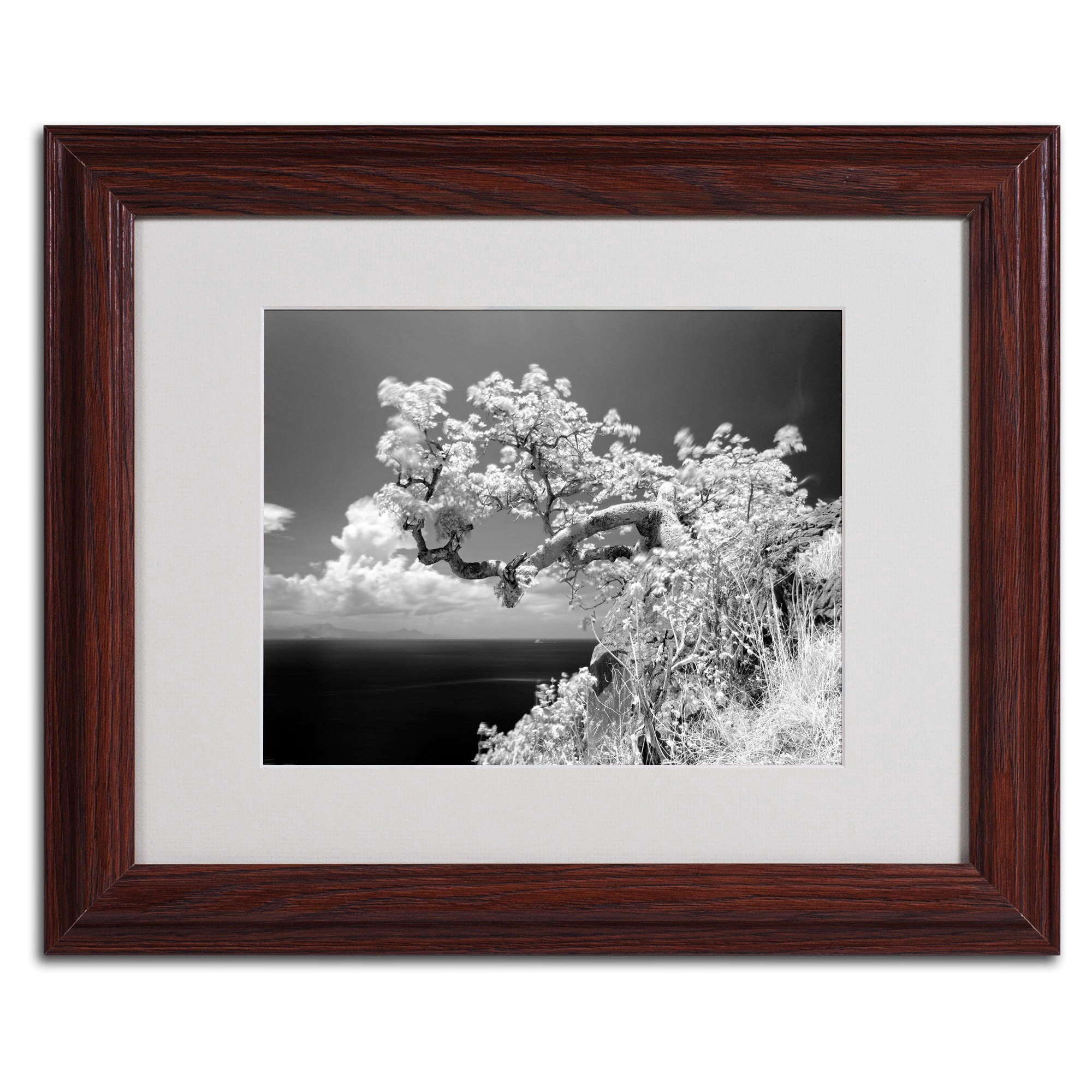Matted art under acrylic in a black frame