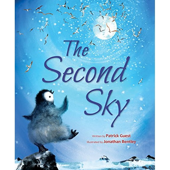Pre-Owned The Second Sky (Hardcover) 0802855202 9780802855206