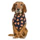 thumbnail image 2 of Bienvenido 2 piezas de toalla para escupir mascotas de Halloween, babero decorativo para bufanda de gato de una sola capa con palanca para perros, 2 of 5