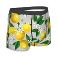 thumbnail image 3 of Fotbe Lemon1 Men’s Total Support Pouch Boxer Briefs, X-Temp Cooling, Moisture-Wicking Underwear, Regular, Long-leg and Trunk-Large, 3 of 9