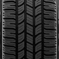 thumbnail image 4 of Radar Rivera Pro Tour All Season 215/60R16 95V Passenger Tire, 4 of 6