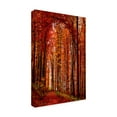 thumbnail image 3 of Trademark Fine Art Philippe Sainte-Laudy The Red Way Canvas Wall Art - 30x47, 3 of 5