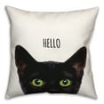 thumbnail image 2 of Creative Products Curious Hello Black Cat 16 x 16 Spun Poly Pillow, 2 of 3