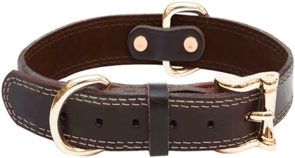 high quality dog collars