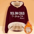 thumbnail image 2 of Heavyweight Drop Shoulder Fleece Lined Hoodie For Cozy Pullover With Drawstring Casual Streetwear Sweatshirt, 2 of 3