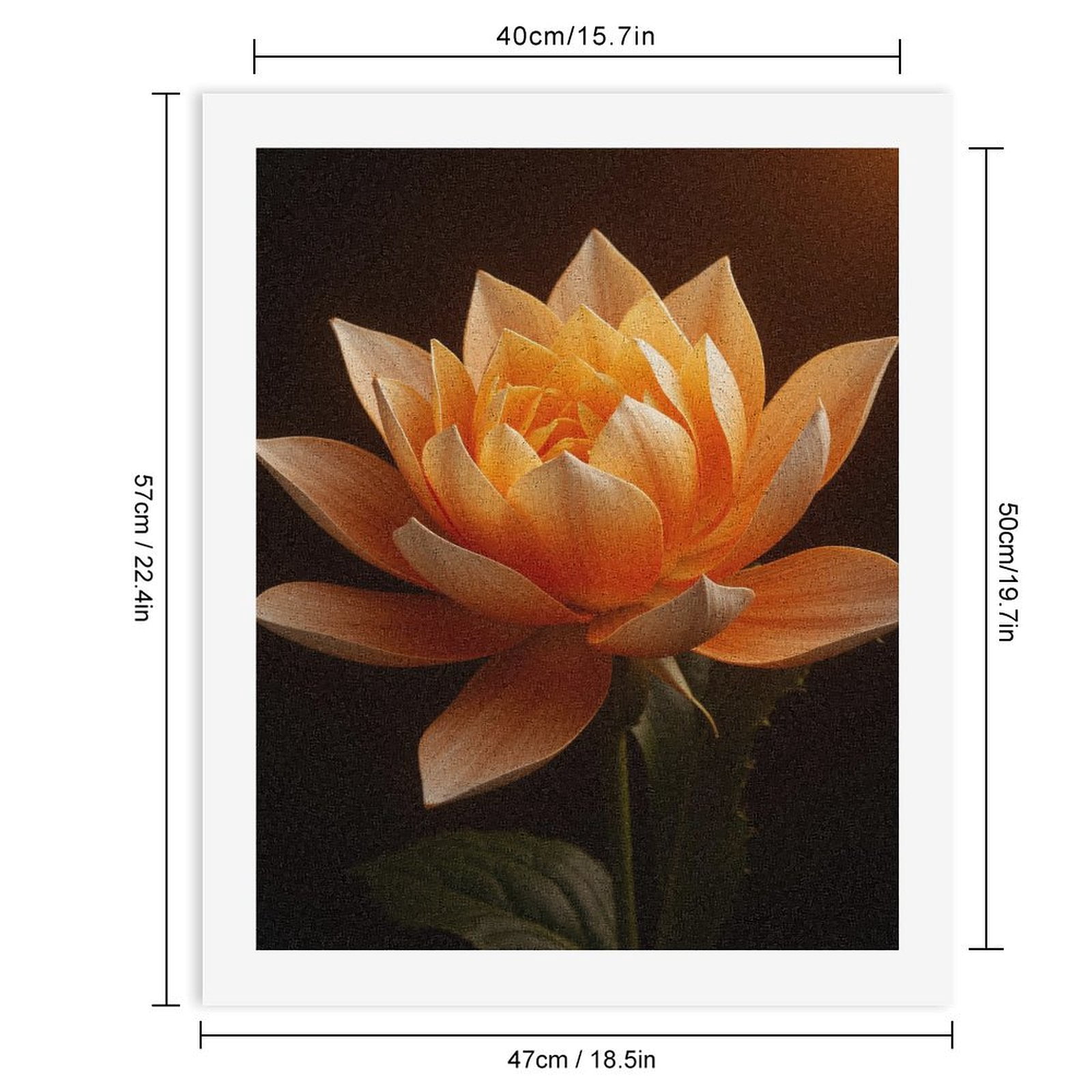 Paint By Numbers Kit for Adults Beginner - DIY Orange Lotus Flower Art Canvas Painting Kits for Adults, Frameless Paint By Number for Adults for Home Wall Decor 16x20 Inch