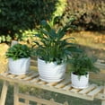 thumbnail image 5 of MyGift Assorted Round White Ceramic Plant Pot (3 Piece), 5 of 6