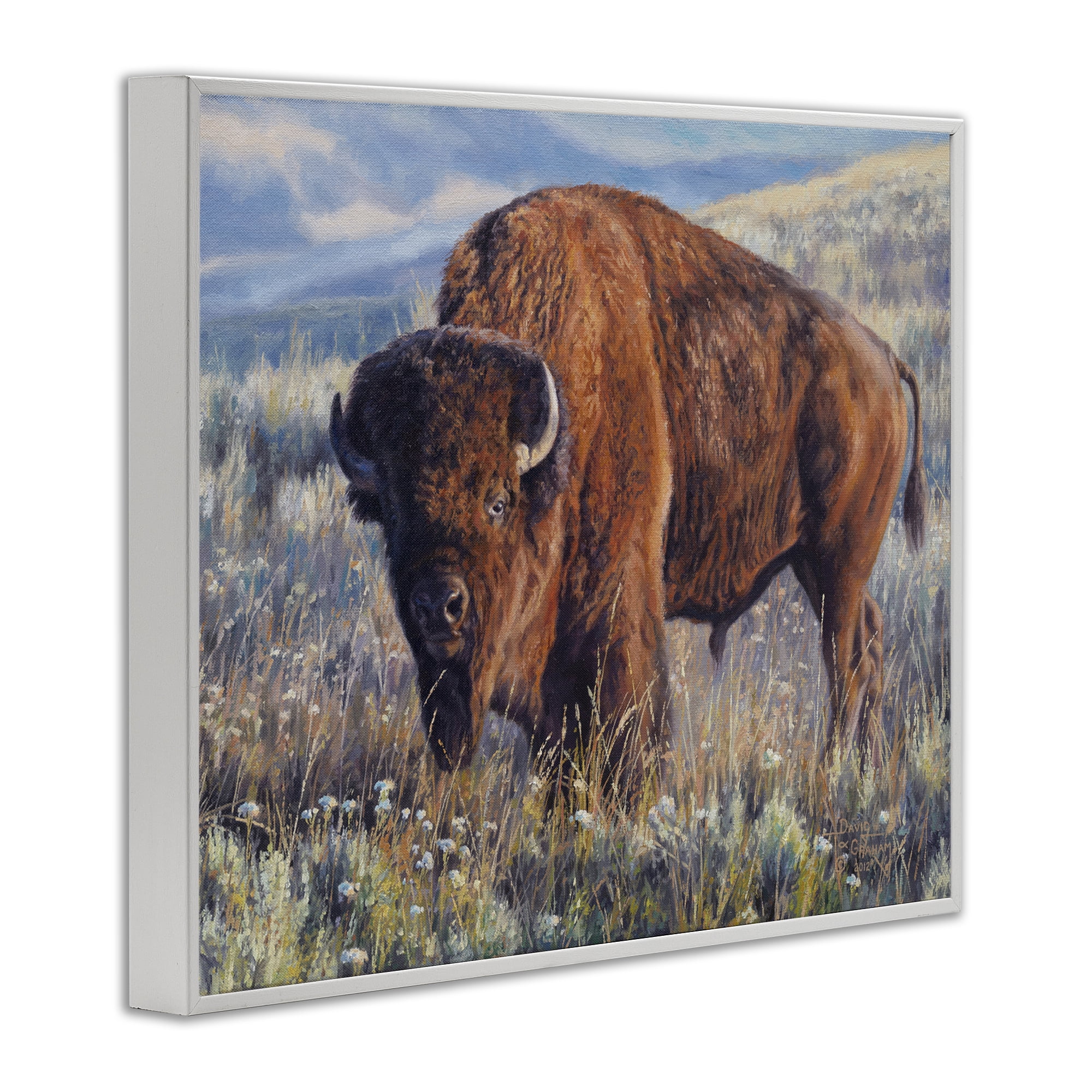 Stupell Industries Prairie King Bison Landscape Photography White Framed Art Print Wall Art, 20 x 16