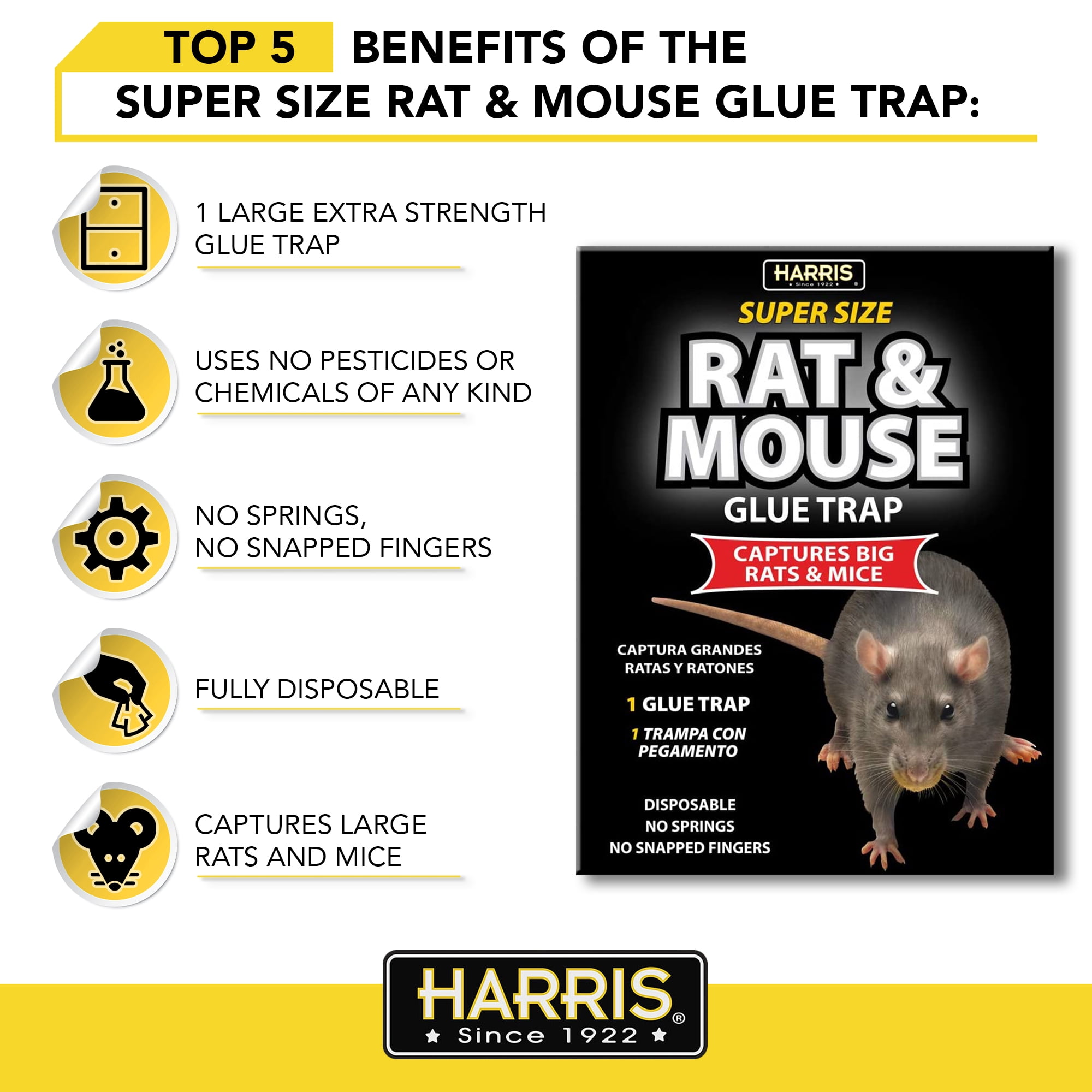 The Pros & Cons Of Mouse Traps