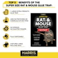 thumbnail image 6 of Harris Super-Sized Rat and Mouse Glue Trap with Lure, 1 Trap, 6 of 9