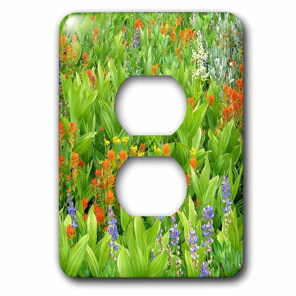 3dRose, Flower Field, 2 plug outlet cover