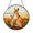 Acrylic 3.5 Inch, variant on Kangaroo Wildlife Window Art – Faux Stained Glass