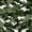 Camo Multi, variant on Manfei Minimalst Camouflage Twin Bedding, Vintage Camo Bedding Comforter Set, Sage Green, Black Reversible, 7 Pieces
