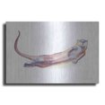 thumbnail image 1 of Luxe Metal Art 'Swimming Otter I' by Alan Majchrowicz, Metal Wall Art, 24"x16", 1 of 7