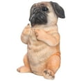 thumbnail image 1 of Chiot Carlin Assis, 1 of 3