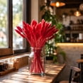 thumbnail image 4 of chaungfeng 17" Artificial Bunny Tails Dried Flowers, 20 Pcs Faux Dried Lagurus Ovatus, Dried Red Pampas Grass Decor for Farmhouse Flower Arrangements Wedding Home Boho Party Decorations, 4 of 8