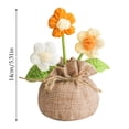 thumbnail image 2 of DFC Handmade Crochet Mini Potted Boho Home Decoration Knitted Desktop Ornament For Desk Bedroom Balcony, 2 of 8