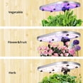 thumbnail image 4 of Yiwa WiFi 12 Pods Hydroponics Growing System with APP Controlled, Indoor Garden up to 30" with 30W 120 LED Grow Light, Silent Pump System, Automatic Timer, GS1 Basic, 4 of 6
