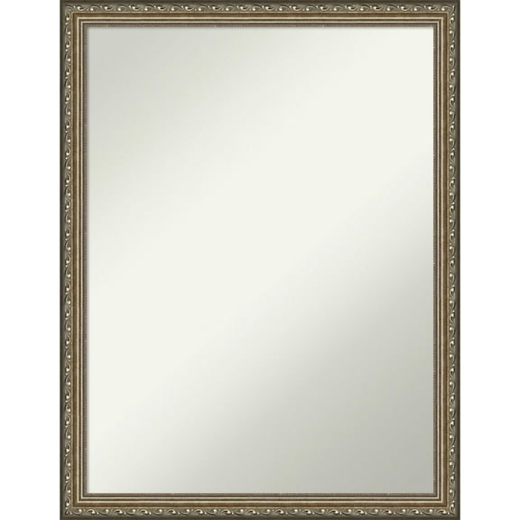 Parisian Silver Non-Beveled Wood Bathroom Wall Mirror