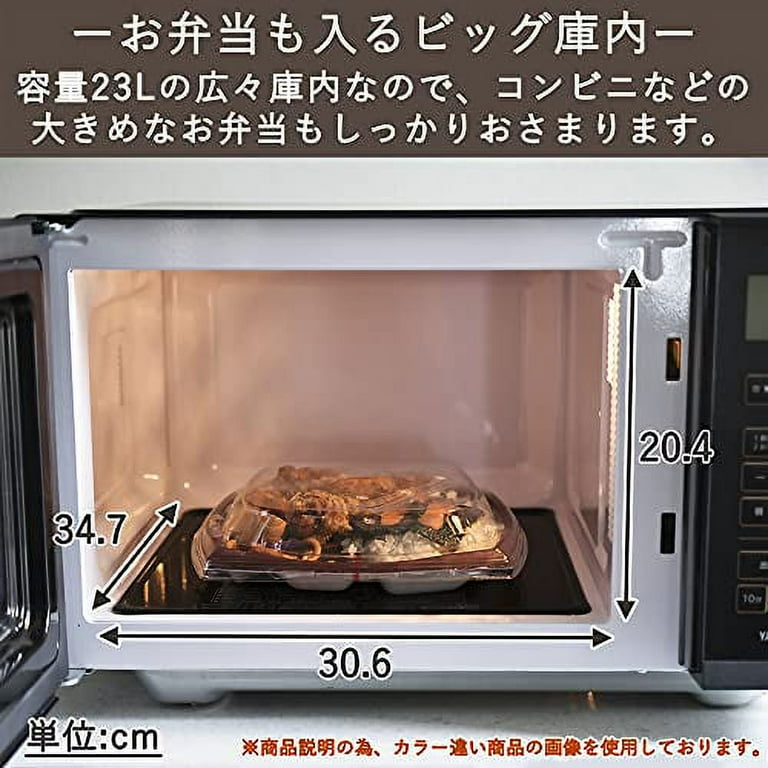 Large microwave 2024
