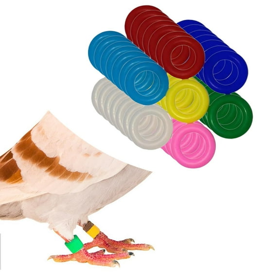 Serenable 100Pcs Bird Foot Rings Recognition Rings Mixed Color Markers Random Identification Foot Rings Bird Leg Bands for Rutin Parrots 9mm