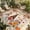 Orange Red, variant on Fall Outdoor Rug for Patio/Deck/Porch, Non-Slip Large Area Rug 5 x 7 Ft, Orange Pumpkins Thanksgiving Gnomes Autumn Maple Leaf Indoor Outdoor Rugs Washable Area Rugs, Camping Rug Carpet Runner