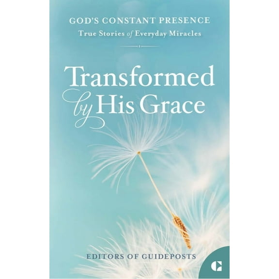 God's Constant Presence Transformed by His Grace: True Stories of Everyday Miracles, Book 4, (Paperback)