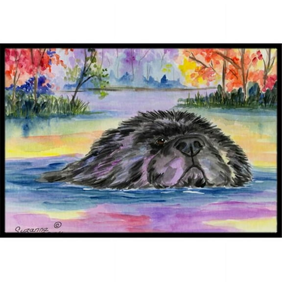 18 x 27 in. Newfoundland Indoor Outdoor Mat