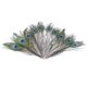 thumbnail image 2 of Hermosa pluma natural DIY joyería decoración decorativa 25-32 cm de longitud 50 Piezas Scienceny HA4712-00B, 2 of 6