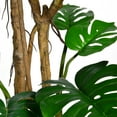 thumbnail image 2 of Vintage Home Artificial Faux Real Touch 6.67 Feet Tall Monstera With Burlap Kit With Fiberstone Planter, 2 of 3