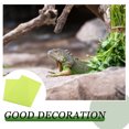 thumbnail image 3 of MERRYHAPY Alfombra Para Reptil Para Terrario Con Superficie Antideslizante Y Sin, 3 of 6