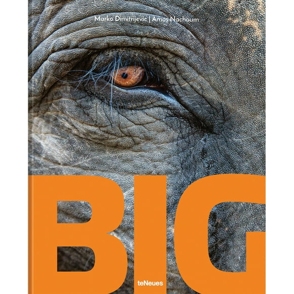 Big : A Photographic Album of the World's Largest Animals (Hardcover)