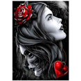thumbnail image 2 of Kit de pintura de diamantes Antor DIY 5D Skull and Beau, 2 of 3