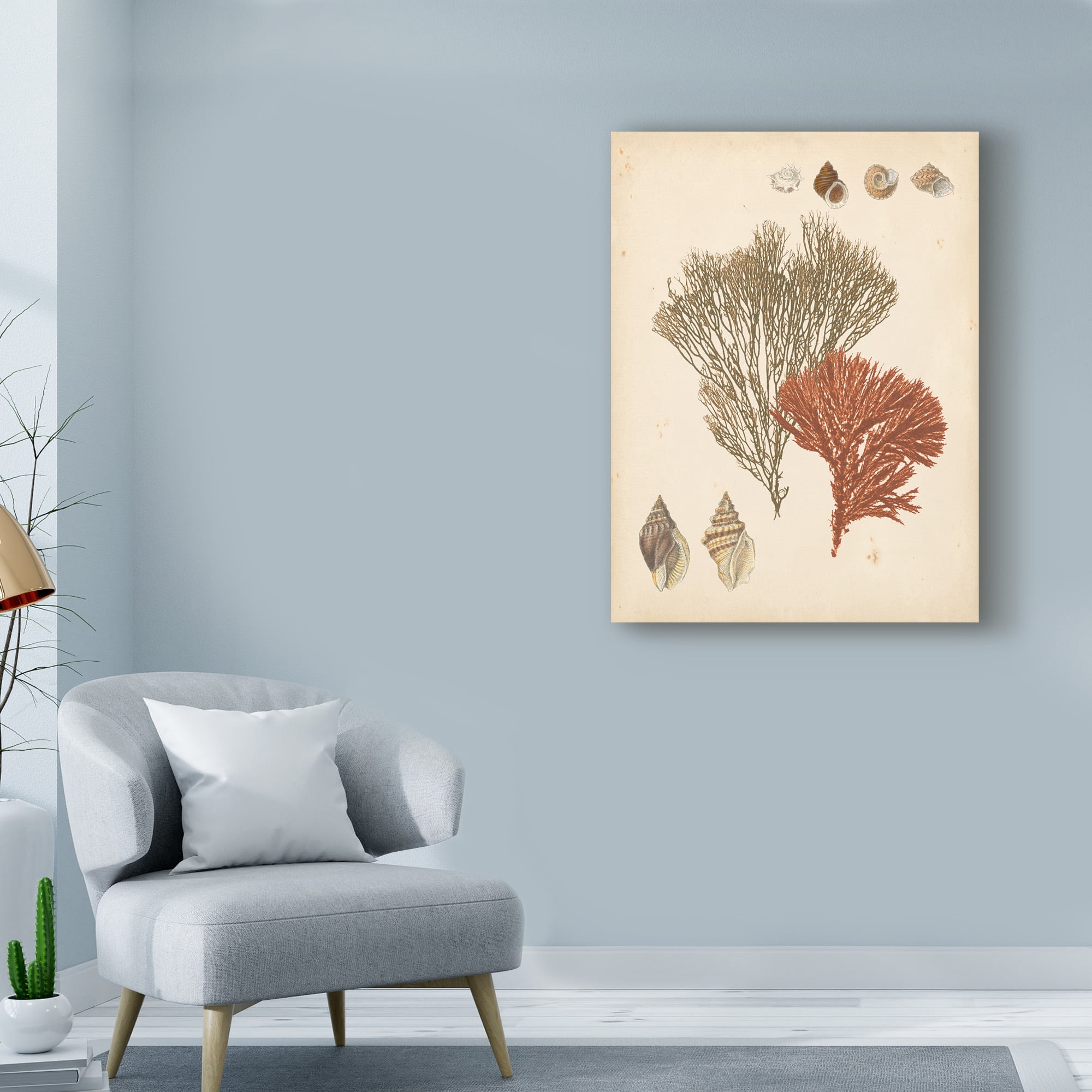 Trademark Fine Art 'Coastal Relic IV' Canvas Art by Vision Studio