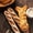 Black, variant on Cake & Bread Cooling Rack, Small Black 2825.52cmHousehold homemade baking,Baking supplies,Carbon Steel-Khaki