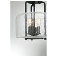 thumbnail image 6 of Avalon 3-Light Ceiling Light in Black, 6 of 7