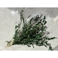 thumbnail image 3 of Dried Eucalyptus Stems for Shower - 17" Preserved Eucalyptus Leaves Bundle, Hanging Eucalyptus Bundle, Green Plant for Shower Hanging, Bathroom Essentials, 3 of 6