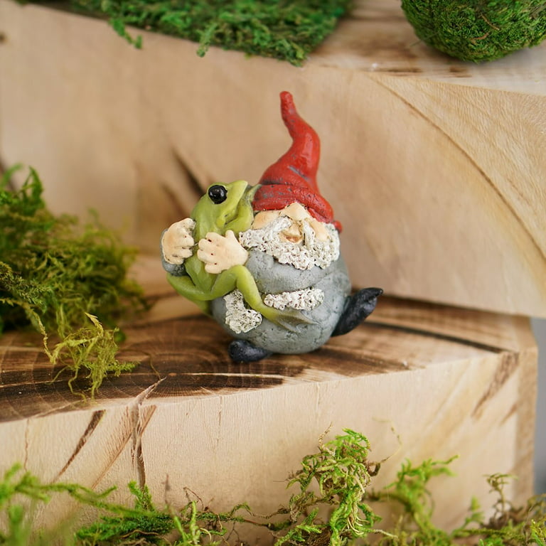 Top Collection Miniature Fairy Garden Garden Gnome Hugging Frog