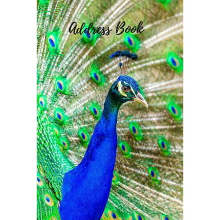 Address Book: Peacock for Contact, 6 by 9 for Contacts, Addresses, Phone Numbers, Emails & Birthday. Smart Alphabetical Organizer Journal Notebook. Over 370 Spaces Paperback - Large Print, December