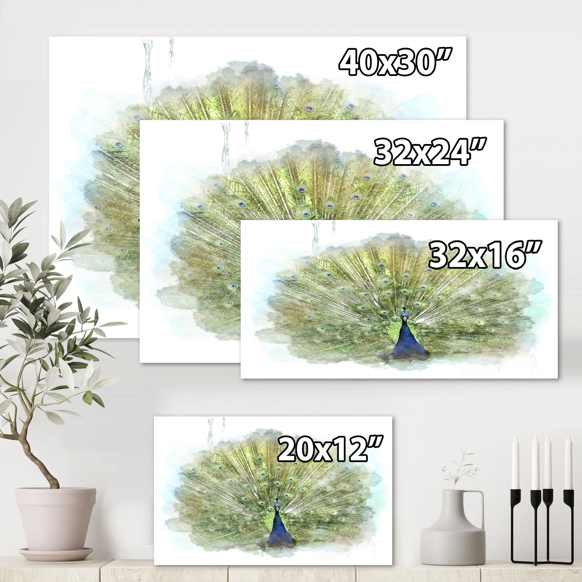 Designart ' Dancing Peacock Bird ' Traditional Canvas Wall Art Print