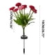 thumbnail image 3 of Xihbxyly Artículo En Liquidación Florida Peonía Alimentada Por Energía Solar, Simulación Led 7 Cabezas, Flor de Peonía de Seda, Lámpara de Inserción En Suelo, Lámpara de Decoración de Patio, 3 of 3