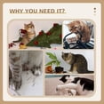 thumbnail image 4 of Grey Small Cat Tree with Scratching Post & Perch - 16" Indoor Cat Tower for Play & Rest - Durable Particle Board Design, 4 of 7