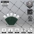 thumbnail image 5 of Wintergreen Lighting Cool White Twinkle Net Lights LED Mesh Lights Christmas String Lights, 4' x 6', 100 Lights - Green Wire, 5 of 7