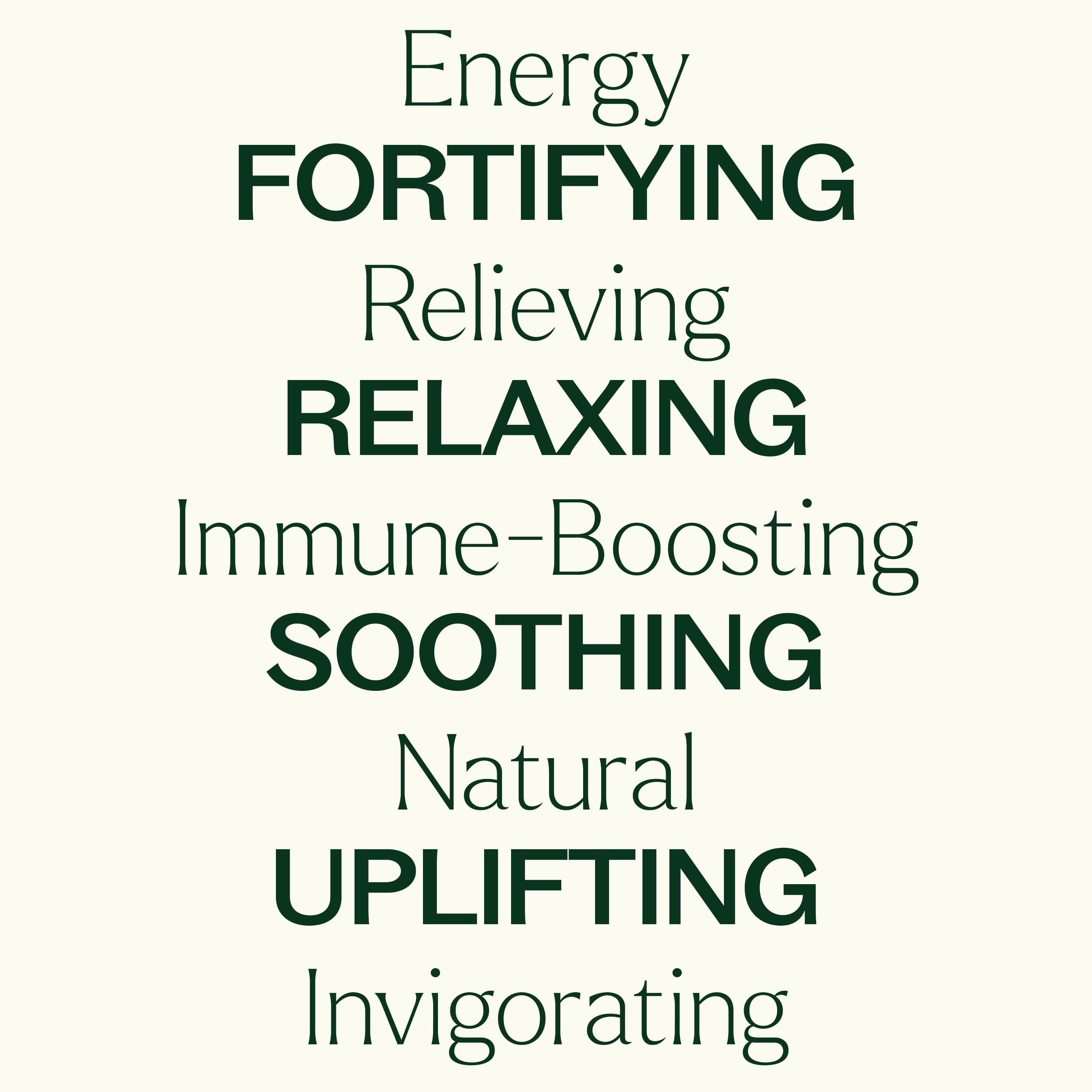 Plant Therapy Essential Oil Blends Set, Top 6 Most Popular, 100% Pure, Undiluted, Natural Aromatherapy 10 mL ea