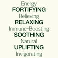 thumbnail image 4 of Plant Therapy Essential Oil Blends Set, Top 6 Most Popular, 100% Pure, Undiluted, Natural Aromatherapy 10 mL ea, 4 of 8